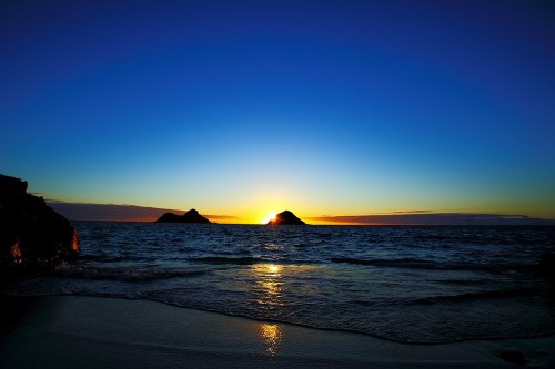 Let's Go Blue (Monday)!