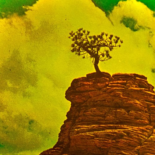 The Polyphonic Spree